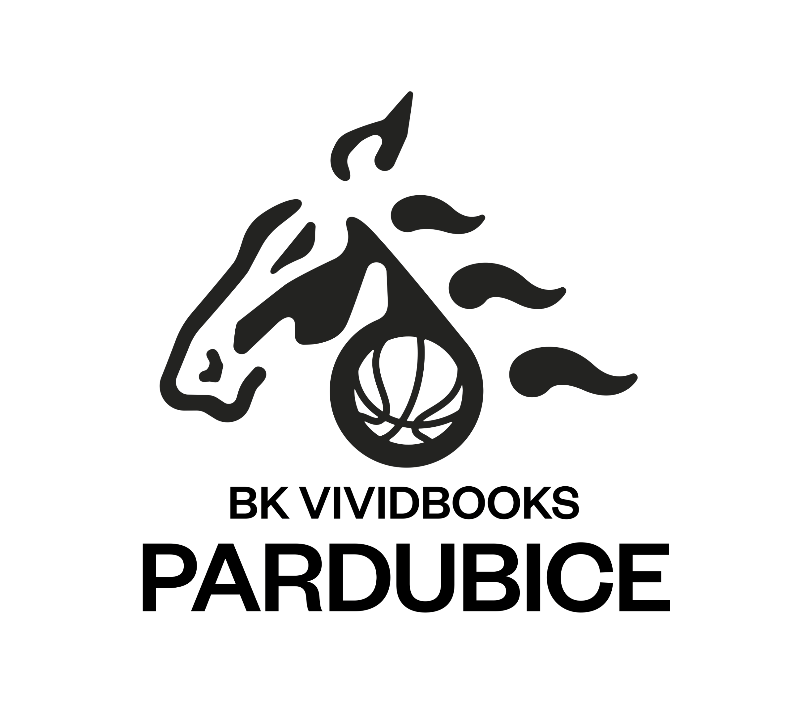 BK Vividbooks Pardubice NF12 BK VLCI Žďár nad Sázavou